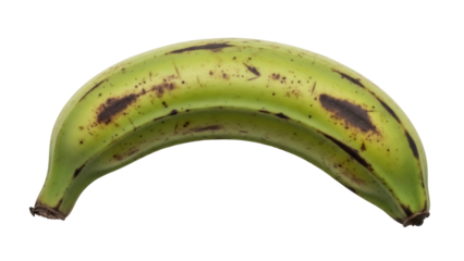 Isolated, unripe green plantain with brown spots, a tropical cooking staple in Caribbean