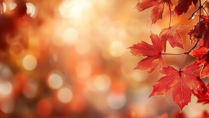 Vibrant Red Maple Leaves Against Warm Golden Light Autumn Background with Bokeh Effect