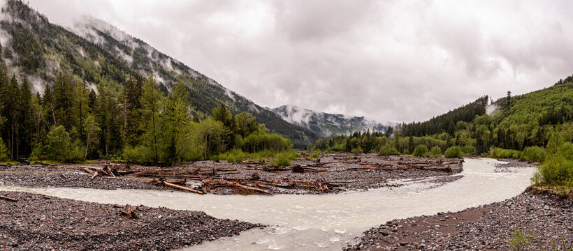 View of a glacial river splits into two streams over a rocky bed strewn with fallen logs under a cloudy sky, Carbonado, Washington, United States.