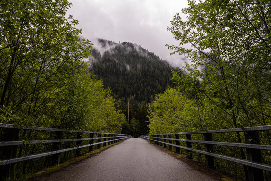 View of a long, straight path ahead, framed by vibrant green trees, leading towards a misty mountain under a cloudy sky, Carbonado, Washington, United States.