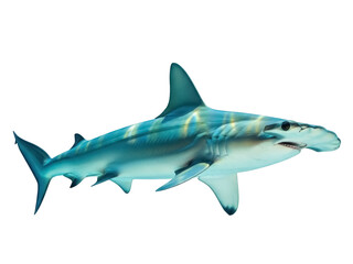 Isolated Great Hammerhead Shark Swimming, with detailed skin texture and vibrant colors, ocean animal