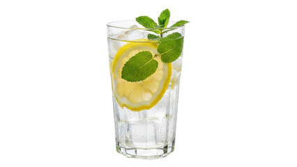 Fototapeta premium Refreshing Lemon Mint Water with Ice in Tall Glass