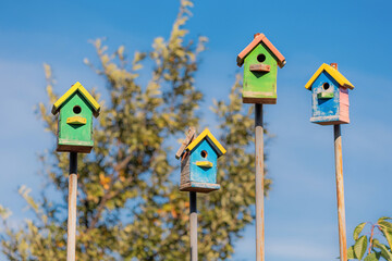 Group of rustic, vibrant birdhouses made of wood, providing shelter for birds against a clear blue sky