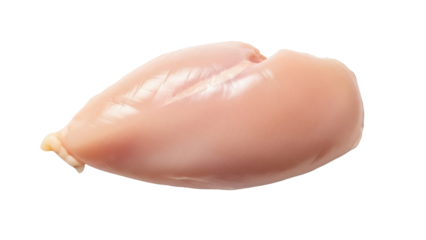 Isolated raw chicken breast fillet ready to be cooked for a tasty healthy meal or dinner