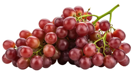 Isolated bunch of fresh ripe red globe grapes, still life studio shot of produce item