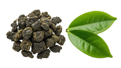 Isolated pile of twisted dry oolong tea leaves alongside fresh bright green tea leaves group