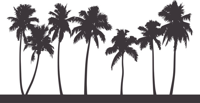 Black and white silhouettes of tropical palm trees horizon