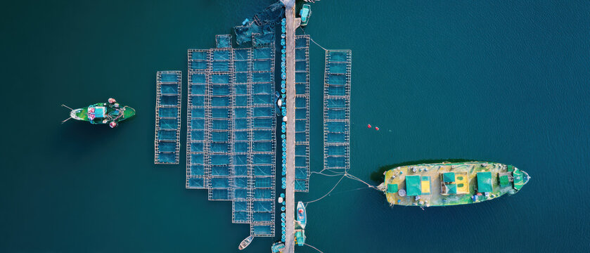 Aerial view of rectangular fish cages connected by walkway with boat on blue sea