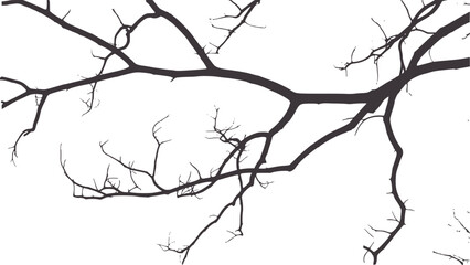 Stark black and white minimalist bare tree branches © Ali