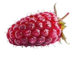 Close-up of a vibrant red, ripe fruit with multiple tiny spheres and green stem