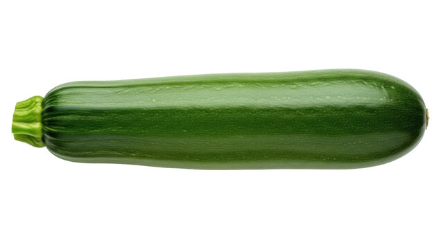 Isolated green zucchini squash vegetable food, fresh summer produce harvested for cooking