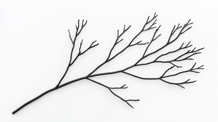 A black branch with small leaves