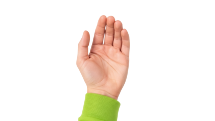 Isolated hand gesture, palm upward, communication, signal, human anatomy, expressive sign