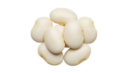 Isolated lima beans, heap of legumes, butter beans, raw dried food, healthy eating concept