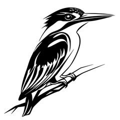 Fototapeta premium Kingfisher: Silent Sentinel Waters | Clean, isolated vector art for creative projects.