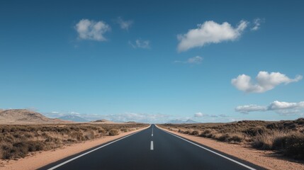 A long, straight road stretches into the distance, flanked by dry grasses and shrubs, with mountains in the background.