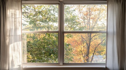 A window with a view of trees and a street.