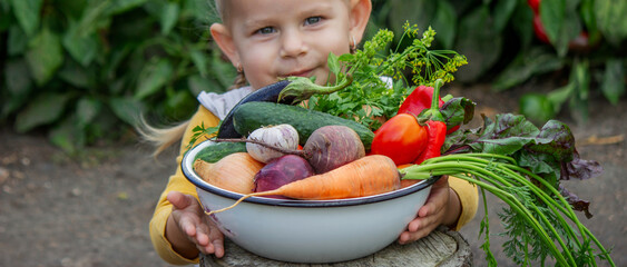Little girl holding a bowl of fresh organic vegetables in the garden