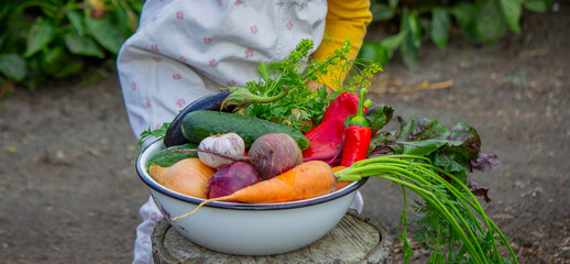 Little girl holding a bowl of fresh organic vegetables in the garden