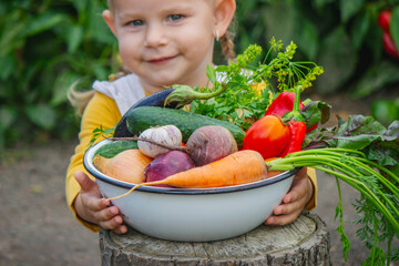 Little girl holding a bowl of fresh organic vegetables in the garden