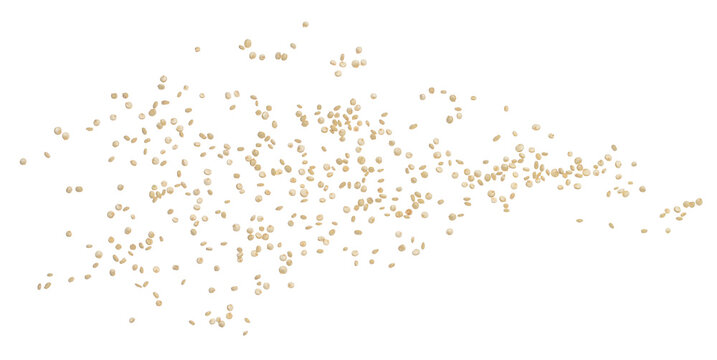 Raw quinoa seeds flying, isolated on white background, clipping path, macro