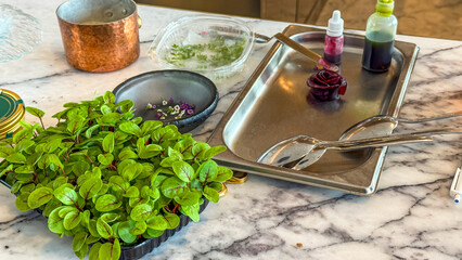 Herbaceous mint tableau on marble, juxtaposed with copper and mysterious elixirs, evokes Beltane herbal alchemy and culinary experimentation