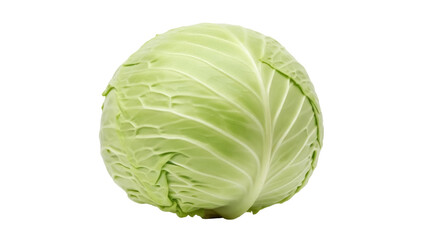 Obraz premium Isolated, single whole raw green cabbage head for healthy cooking, food ingredient or salad
