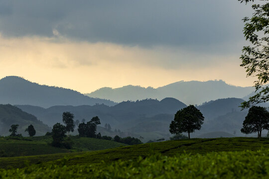 View of rolling hills fading into a soft, grey horizon, with verdant fields in the foreground, Phu Tho, Ph&uacute; Thọ, Vietnam.