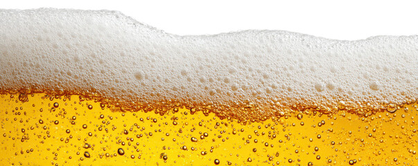fresh golden beer with foam texture isolated on white or transparent png
