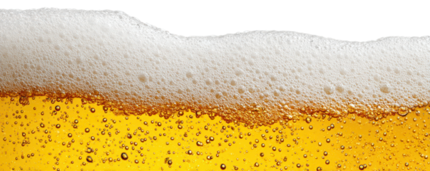 fresh golden beer with foam texture isolated on white or transparent png