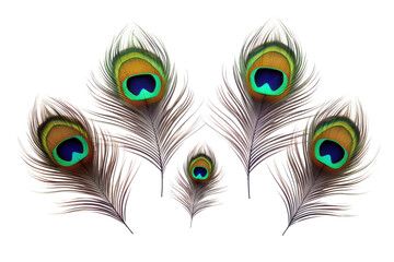 Obraz premium peacock feather set isolated on white or transparent png