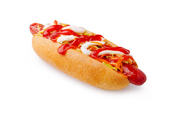 Delicious hot dog topped with colorful ingredients ready to enjoy