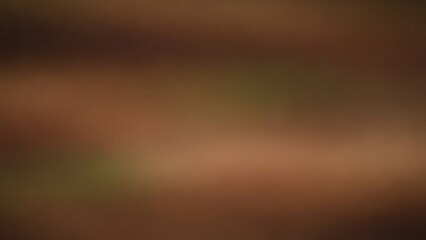 Abstract brown and green background with soft focus and blurred elements suitable for various design projects