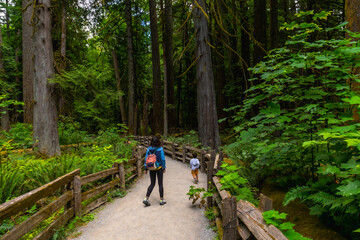 Obraz premium Tourists walking in the lush cathedral grove forest on vancouver island