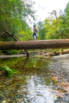 Hiker walking on fallen tree trunk bridge over river in lush forest