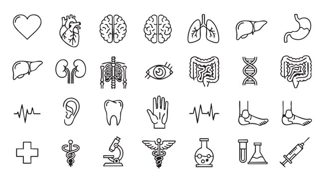 Medical Icons Collection Anatomy and Healthcare Symbols in Minimalist Outline Style