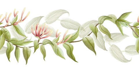 Watercolor honeysuckle vine branch seamless border isolated on white. Pastel green, beige and pink spring climbing flowers with liana plant for summer blooming floral designs and fragrant goods