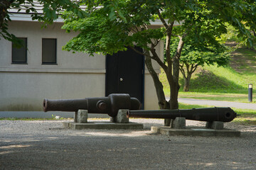 Historic Cannons on Display in Goryokaku Park, Hakodate