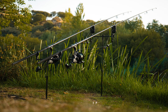 Carp fishing on beautiful green setting with carp rods and rod pods. 