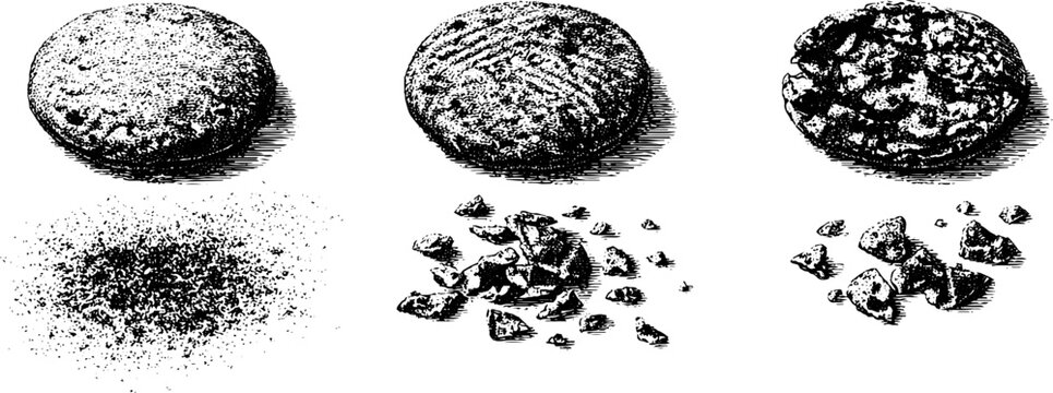 Vintage hand drawn engraving of three cookies with crumbled textures