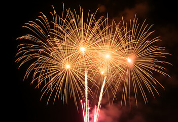 fireworks in the night sky