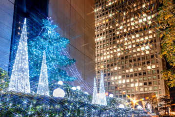 日比谷通りのイルミネーション / Illumination on Hibiya-dori Avenue（東京/Tokyo）