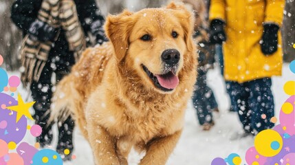 Golden retriever dog playing in winter snow with people blurred in background