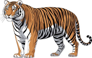 Realistic Standing Bengal Tiger Vector Illustration With Bold Orange And Black Stripes