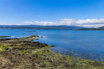 Fototapete bei efototapeten.de bestellen   