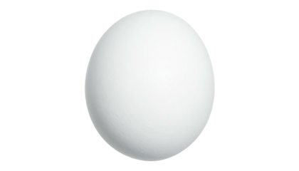 Simple studio shot of a smooth, white, oblong egg with soft shadows on a stark, black background