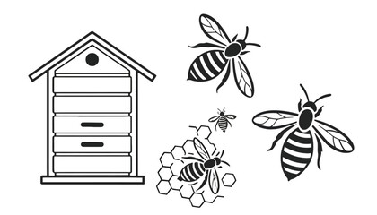 A beehive with bees and honeycomb is depicted in a simple illustration.