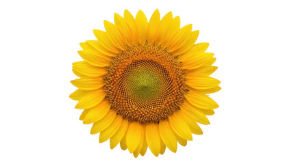 Bright yellow sunflower PNG isolated on transparent background, summer flower with vibrant petals for design projects and botanical themes