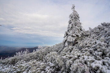 Winter landscape on Babia Gora mountain trail, Poland
