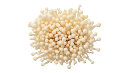 Enoki mushrooms PNG isolated on transparent background, edible fungus with long thin stems and small caps for Asian cuisine